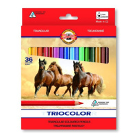 Koh-i-noor pastelky TRIOCOLOR 3145, 36 barev