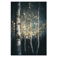 Fotografie Glowing At Night, Treechild, 26.7 × 40 cm