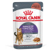 Royal Canin Appetite Control Care v omáčce - 48 x 85 g