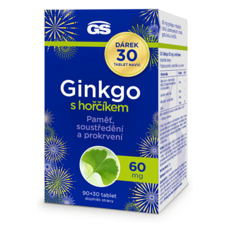 GS Ginkgo 60 mg s hořčíkem 90+30 tablet NAVÍC Green Swan
