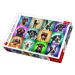 Puzzle Legrační psí portréty 1000 dílků 68,3x48cm v krabici 40x27x6cm