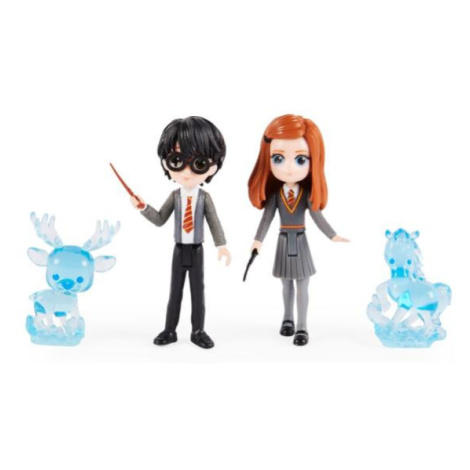 Harry Potter Harry a Ginny s patrony