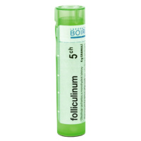 BOIRON Folliculinum CH5 4 g