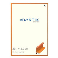 DANTIK rámeček 29,7 × 42, ALU profil 6035 Dýha barevný oranžový plexi čiré