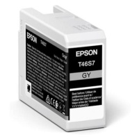 Epson Singlepack Gray T46S7 UltraChrome Pro 10 ink 25ml