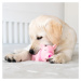 Akinu hračka pro psa latex pašík růžový 15cm