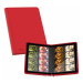 Album Ultimate Guard 16-Pocket ZipFolio 320 XenoSkin Red