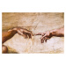 Reprodukce obrazu Michelangelo Buonarroti - Creation of Adam, 70 x 45 cm