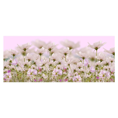 Dekor skl. bílé květiny 1 20/50 AQUA MERCADO
