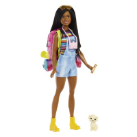 MATTEL - Barbie Dha Kempující Panenka Brooklyn