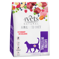 4Vets Natural Feline Gastro Intestinal - výhodné balení: 2 x 1 kg