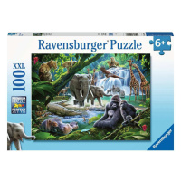 Ravensburger 12970 puzzle rodina z džungle 100 dílků xxl