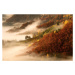Fotografie November's fog, Bor, (40 x 26.7 cm)