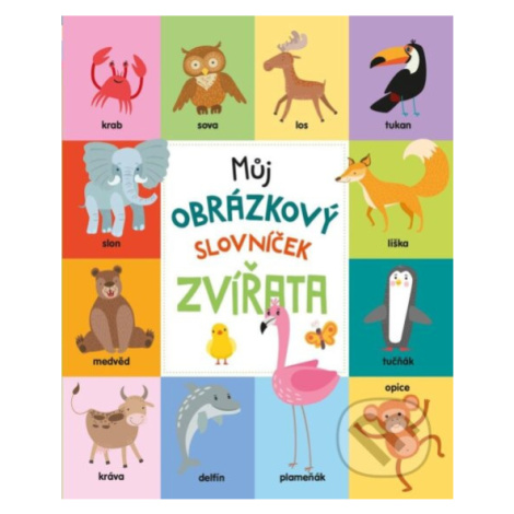 Můj obrázkový slovníček: Zvířata - kniha z kategorie Naučné knihy PIKOLA