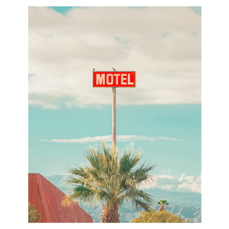 Umělecká fotografie This Motel is for the Birds, Tom Windeknecht, (30 x 40 cm)