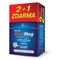 Zdrovit MaxiMag Hořčík 375 mg + B6 100+50 tobolek