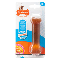Kost Nylabone Puppybone - Výhodné balení 2 kusů