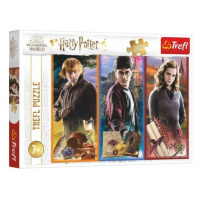 Puzzle Ve světě magie a čarodějnictví/Harry Potter 200 dílků 48x34cm v krabici 33x23x4cm