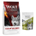 Wolf of Wilderness granule 12 kg + snack 180g zdarma! - "Fiery Volcanoes" - jehněčí + Green Fiel