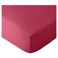 Tmavě růžové napínací prostěradlo 90x190 cm So Soft Easy Iron – Catherine Lansfield
