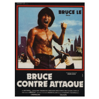 Ilustrace Bruce Le Fights Back, 30 × 40 cm