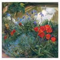 Obrazová reprodukce Red Tulips and Geese, Timothy Easton, 40 × 40 cm