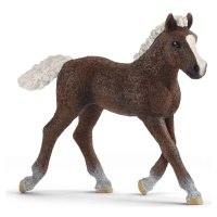 Schleich 13899 Zvířátko hříbě černé lesní