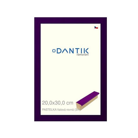 DANTIK rámeček 20 × 30, PASTELKA fialový rovný sklo čiré