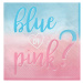 Amscan Ubrousky Blue or Pink? 33 x 33 cm
