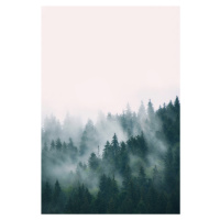 Fotografie Fog and forest, Sisi & Seb, (26.7 x 40 cm)