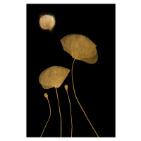 Ilustrace Moonshine, Kubistika, (26.7 x 40 cm)