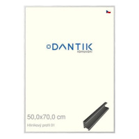 DANTIK rámeček 50 × 70, ALU profil 7001 Stříbrný lesklý plexi čiré