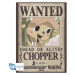 Set 2 plakátů One Piece - Wanted Chopper & Brook (52x38 cm)