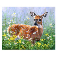 Figured ART Malování podle čísel - SRNEC NA LOUCE  na rámu 40 x 50 cm