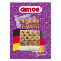 Němčina v kostce