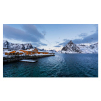 Fotografie Sakrisoy fish factory of Lofoten Norway, SarahWouters1960, 40 × 22.2 cm