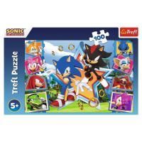 Puzzle Sonic Seznamte se s ježkem 100 dílků