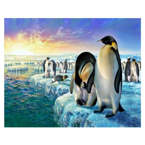 Malování podle čísel - Tučňáci na ledě 40 x 50 cm (bez rámu) Figured ART