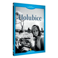 Holubice - DVD