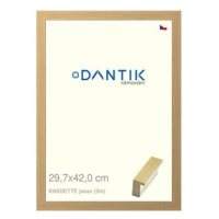 DANTIK rámeček 29,7 × 42, KASSETTE jasan plexi čiré