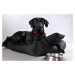Vsepropejska Lux nadýchaný pelech pro psa Barva: Vínová, Rozměr (cm): 55 x 45