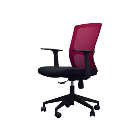 DALENOR Siena, červená - 2 židle v balení