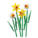 LEGO® Botanicals 40747 Narcisy