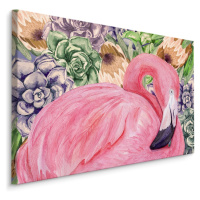 Plátno Flamingo A Květiny Varianta: 30x20