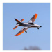 E-flite Habu Super Sport 0.7m BNF Basic