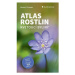 Atlas rostlin - Kvetoucí byliny