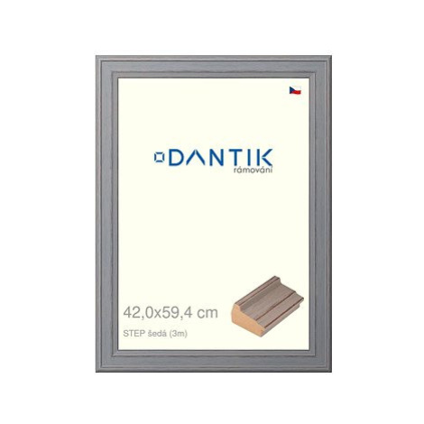 DANTIK rámeček 42 × 59,4, STEP šedý plexi čiré