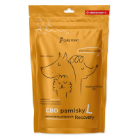 Cure Point CBD Recovery L Pamlsky pro psy 100 g