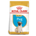 Royal Canin Pug Junior 1,5 kg