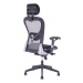 Kancelářská ergonomická židle Sego PADY — více barev, nosnost 130 kg Šedá
